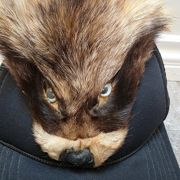 vintage Racoon Fur Mountain Man Trapper hunter snap back baseball cap Hat Face - Picture 2 of 6